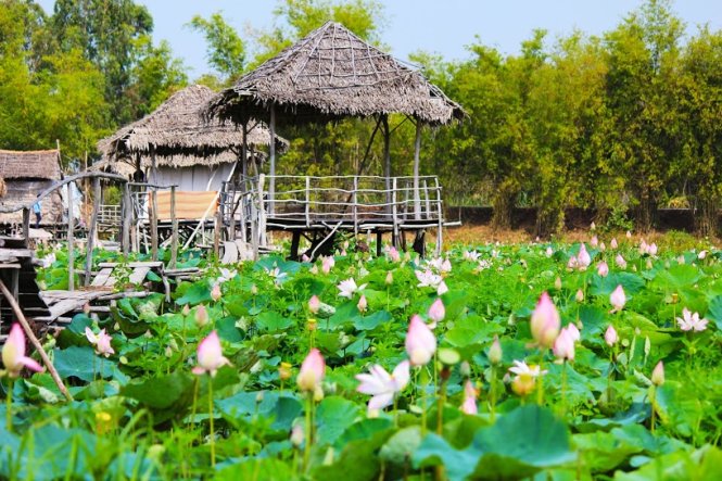 Những nhịp cầu lắt lẻo bắc qua các chòi nghỉ 
